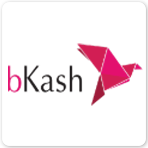 bkash logo