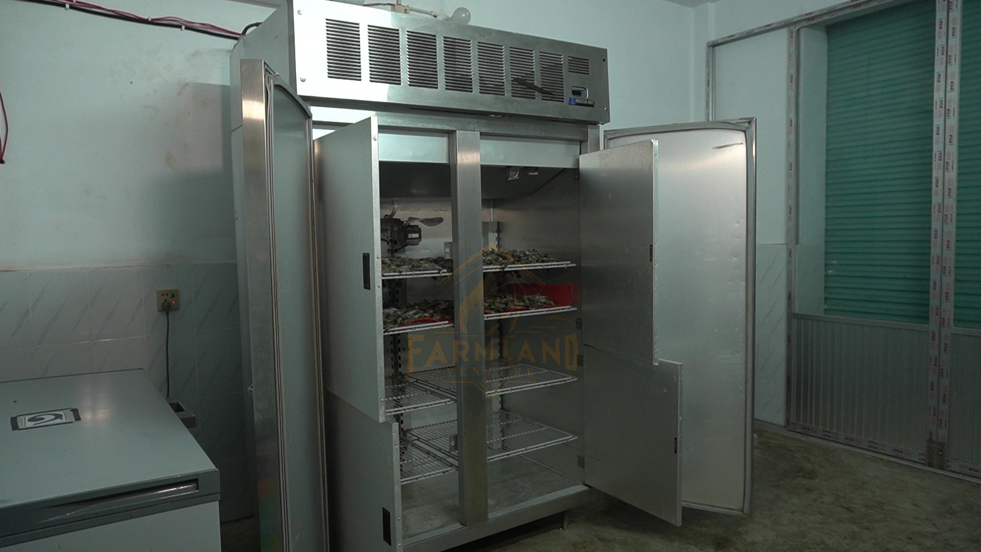 Exploring the Power of Blast Freezers: The Ultimate Solution for Food Preservation